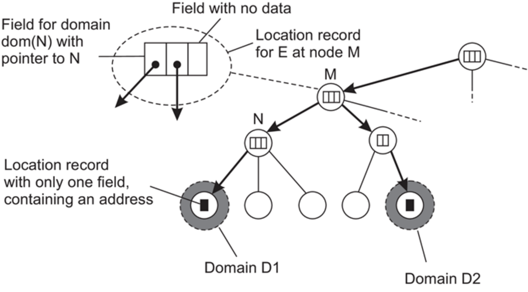HLS Domains